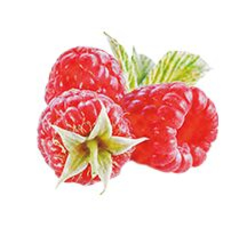 KOSE Precious Garden увлажняющий крем для рук с ароматом ягод, 70 г