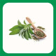 Pelican Forest Peeling Soap мыло-пилинг для тела с АНА-кислотами и растительными экстрактами, 100 г